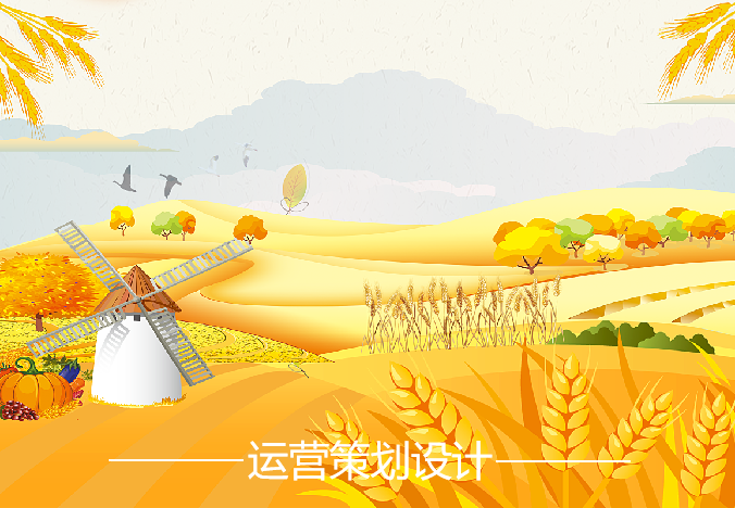 运营策划设计