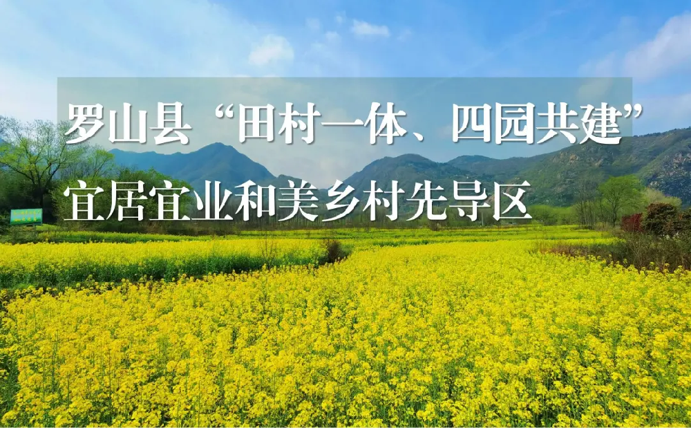 河南省宜居宜业和美乡村先导区设计需求清单——罗山县篇