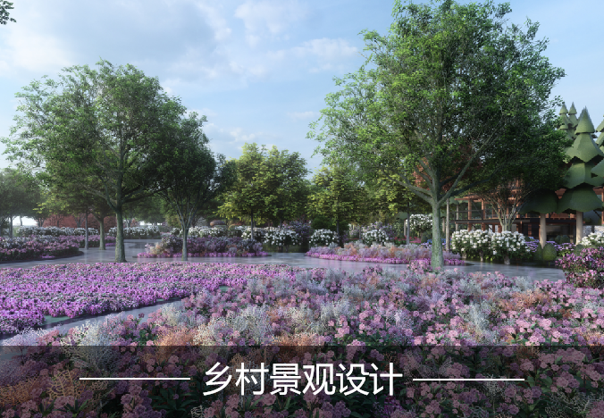 乡村景观设计